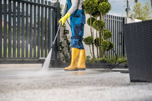 Best Sidewalk and Walkway Cleaning  in Prince George, VA